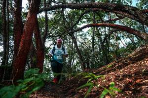 BIB: 
                            <button type="button" onclick="openModal(26346819)" class="btn btn-primary btn-sm float-right btn-popup" data-toggle="modal" data-target=".modal-high-quality">
                        <i class="fas fa-shopping-cart"></i> Add to Cart
                    </button>
                                            <button type="button" onclick="isThisMe(26346819, true)" class="btn btn-success btn-sm float-right btn-popup btn-isme hidden" data-toggle="tooltip" data-placement="bottom" title="นี่คือรูปของคุณใช่ไหม คลิกที่นี่เพื่อเอาเข้าอัลบั้ม">
                        <i class="fas fa-plus"></i> Add to album
                    </button>
                    <button type="button" onclick="isThisMe(26346819, false)" class="btn btn-warning btn-sm float-right btn-popup btn-isnotme hidden">
                        <i class="fas fa-ban"></i> Remove from album
                    </button>